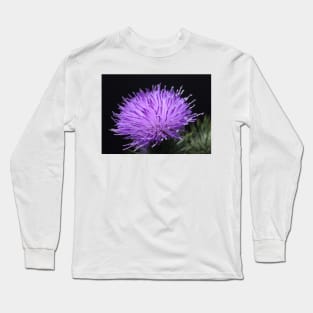 Glowing Thistle Long Sleeve T-Shirt